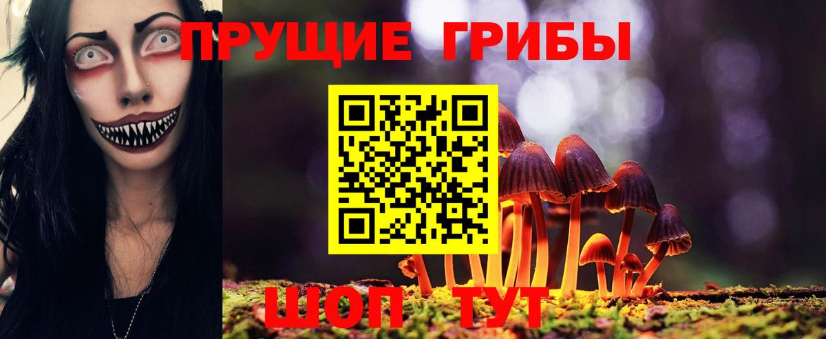 Галлюциногенные грибы Psilocybine cubensis  Галлюциногенные грибы Psilocybine cubensis  Белогорск  купить наркоту  Вход с VPN 